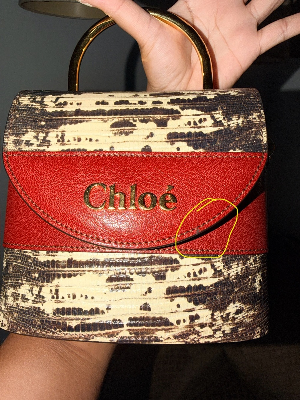 Chloe Mini Bag with Gold Handle - Picture 13 of 14